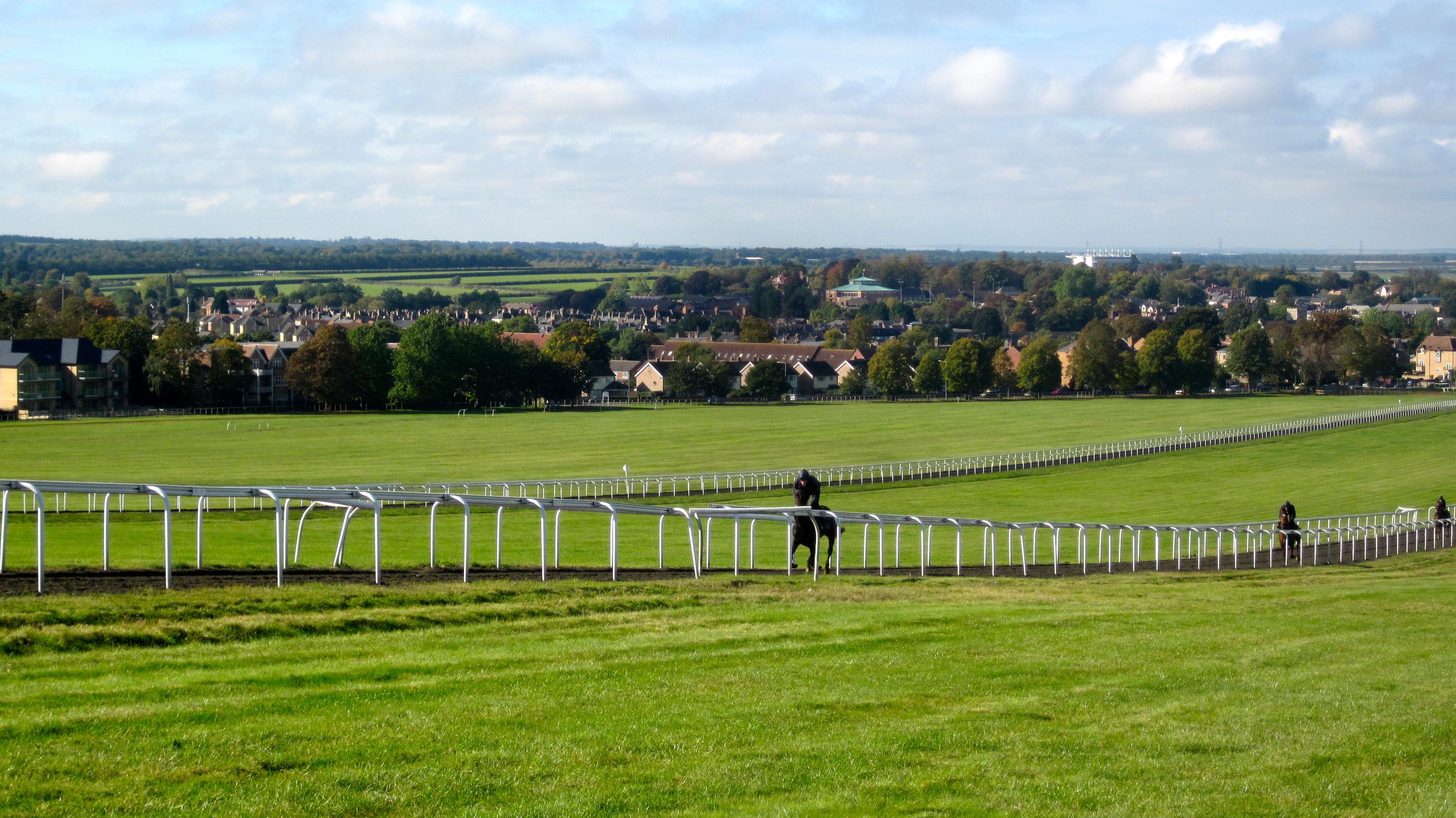 Long Hill training grounds, Newmarket, Suffolk