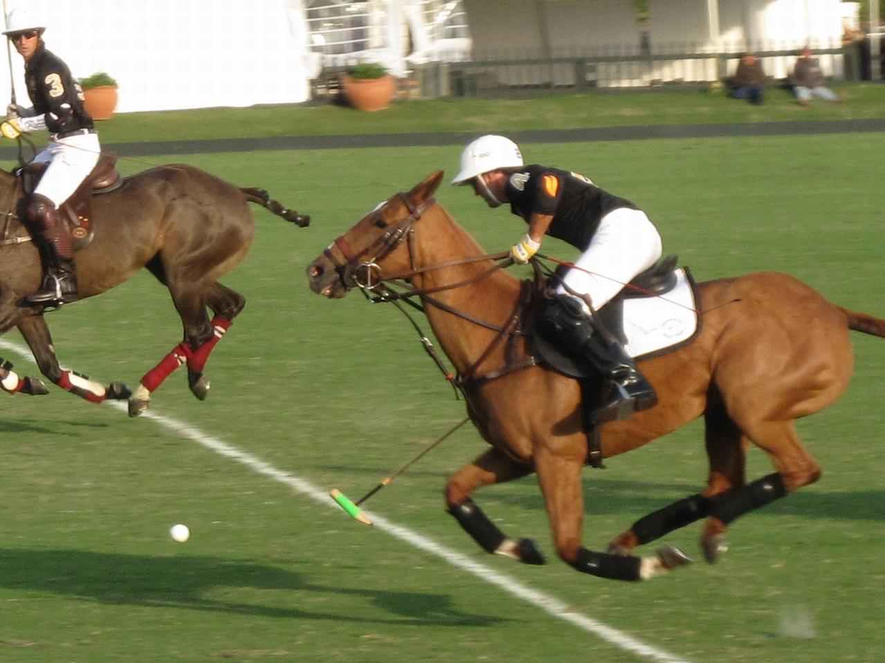 Gonzalo Pieres carrying the ball in high-goal polo at the Outback 40 Goal Challenge, International Polo Club, Wellington, Florida, in 2013.